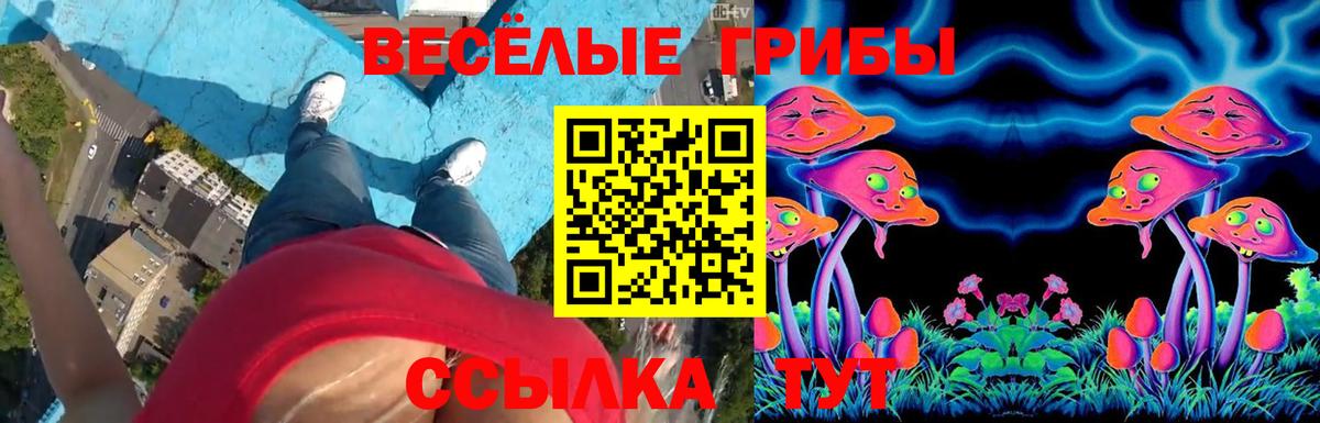 Галлюциногенные грибы Cubensis  Вход с VPN  Псилоцибиновые грибы ЛСД  Алапаевск 